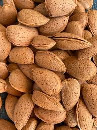 Maraş Kabuklu Badem